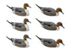 Mainline Series Pintail