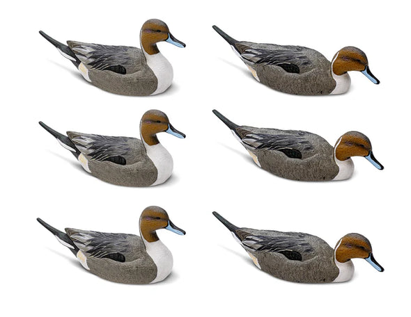 Mainline Series Pintail