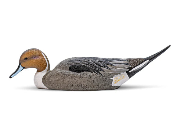 Mainline Series Pintail