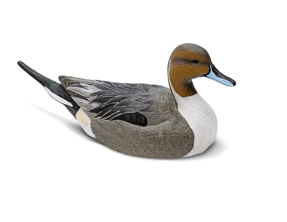 Mainline Series Pintail