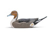 Mainline Series Pintail