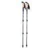 PEAX Backcountry ELITE Cork Trekking Poles